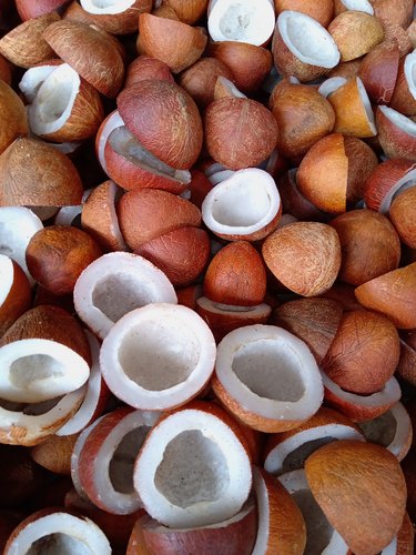 Dried Coconut Half Cut s india