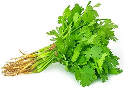 Fresh Coriander Leaves 1 Bunch