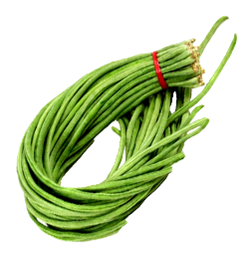 Fresh Green Long Beans