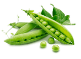 Fresh Green Peas (Indian)