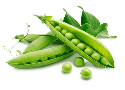Fresh Green Peas (Indian)