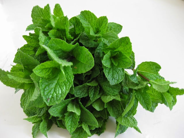 Fresh Mint Leaves 1 Bunch