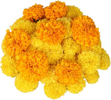 Fresh flowers Marigold 100