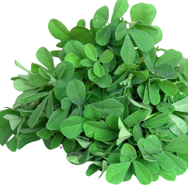 Fresh Methi Leaves (Indian)