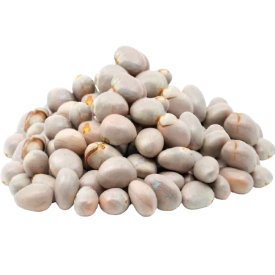 Fresh Jack Fruit Seeds (Indian)
