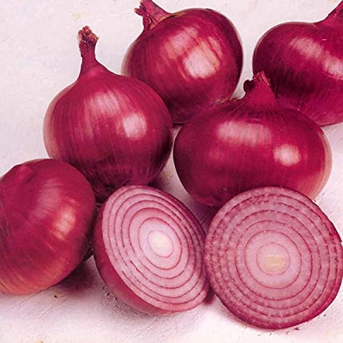 新鮮な赤玉ねぎ