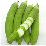 புதிய கடற்பாசி பூசணி
