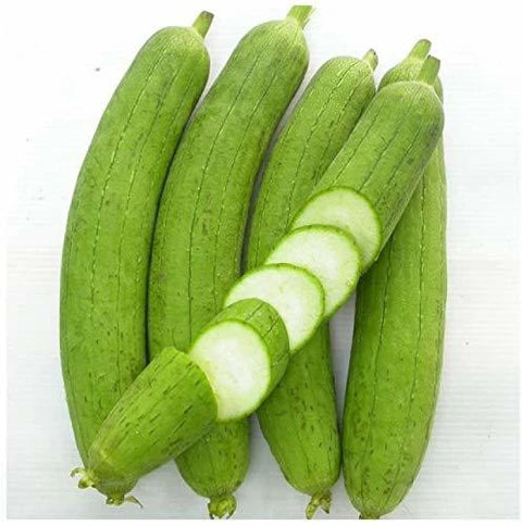 புதிய கடற்பாசி பூசணி
