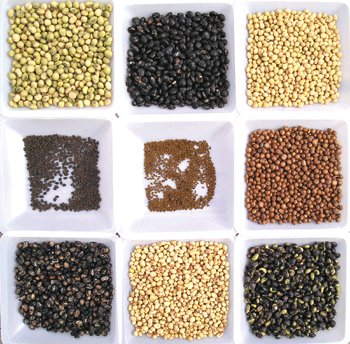 Navdhan x 9 = 450 g
