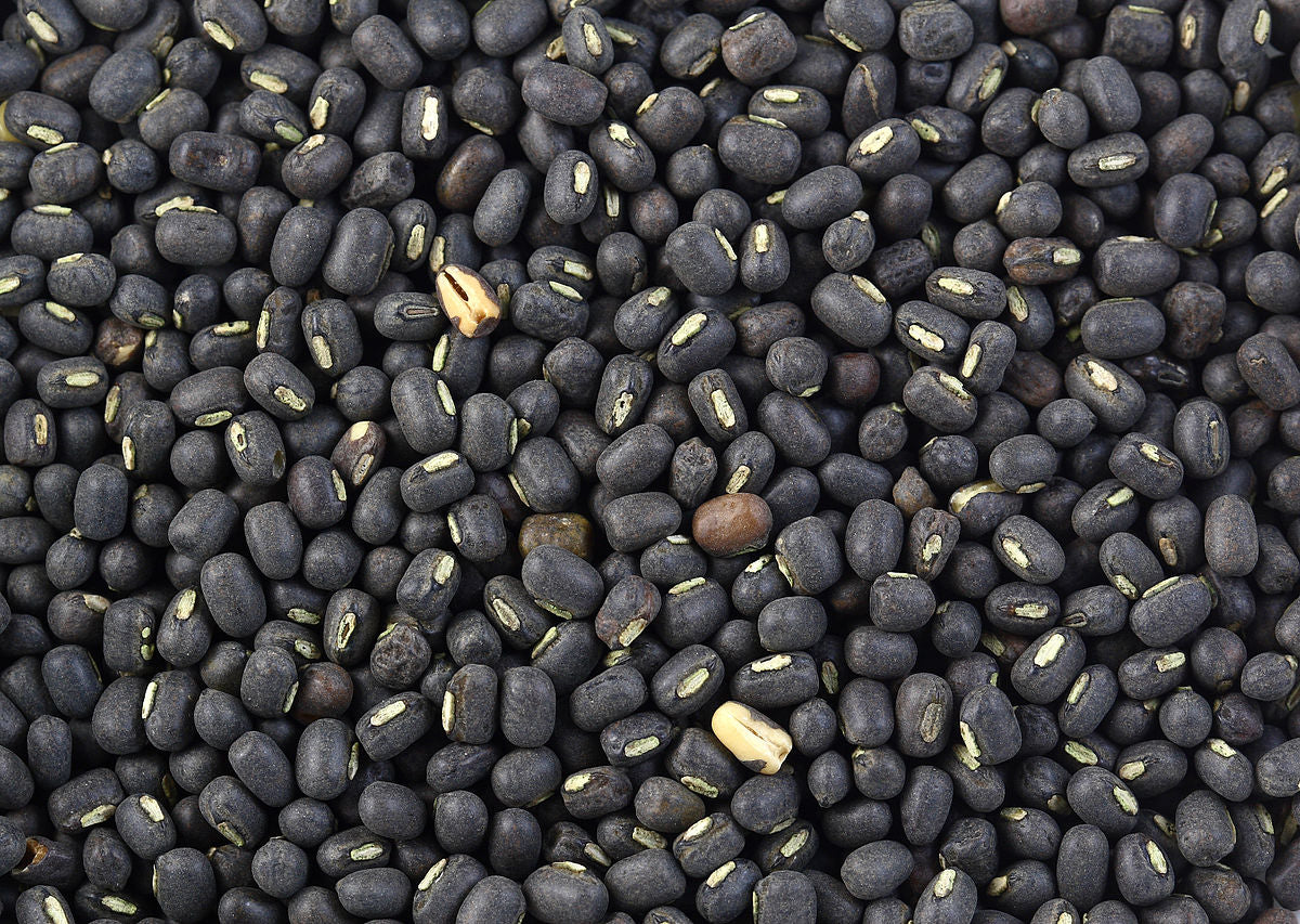 Urad Black Whole
