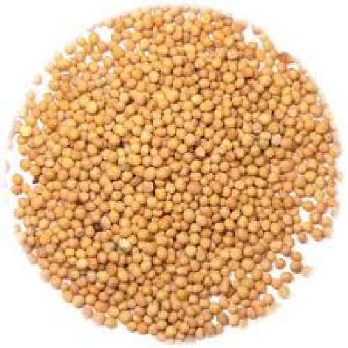 Mustard Seed Yellow