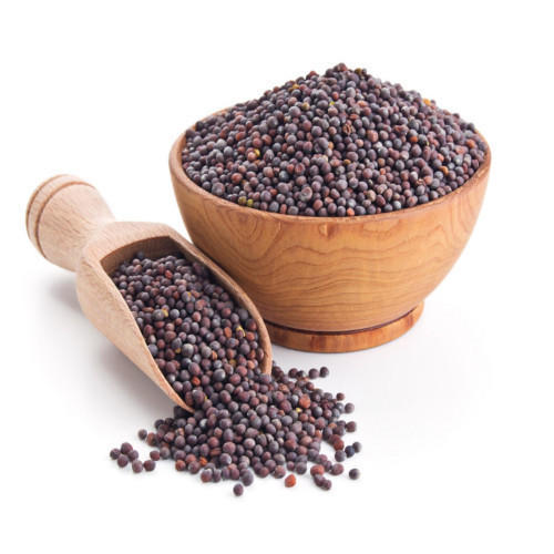 Mustard Seed Big