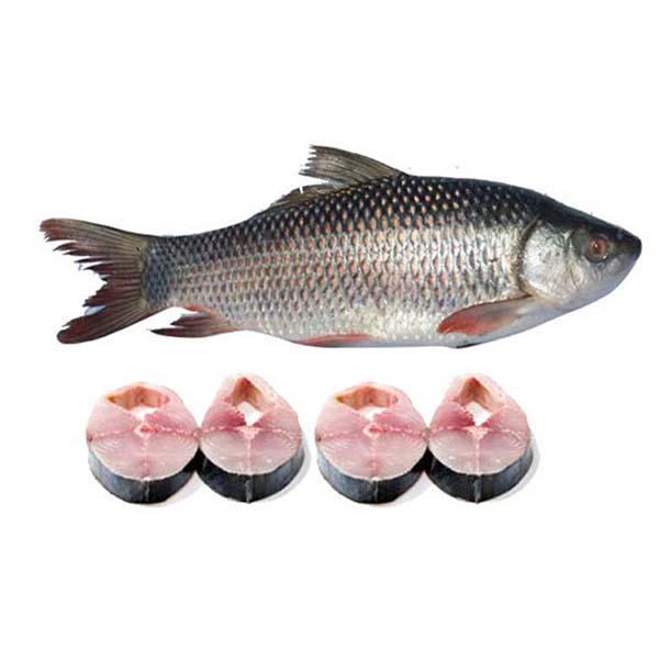 Frozen Fish Rohu Block